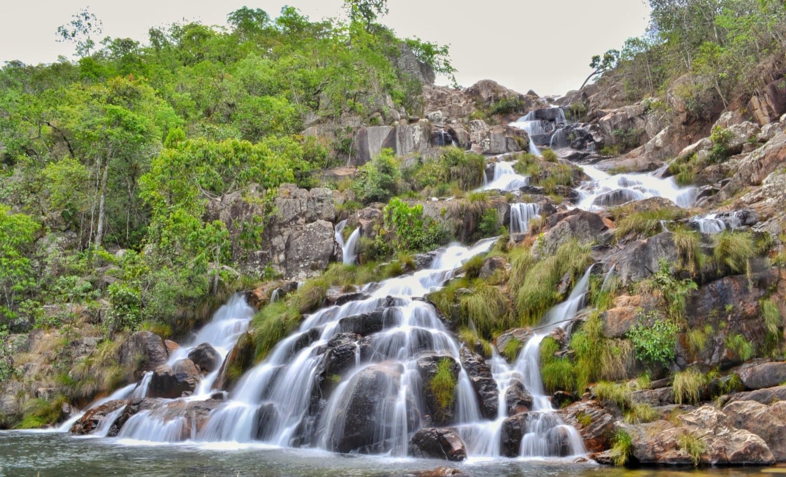 Capybara Waterfall