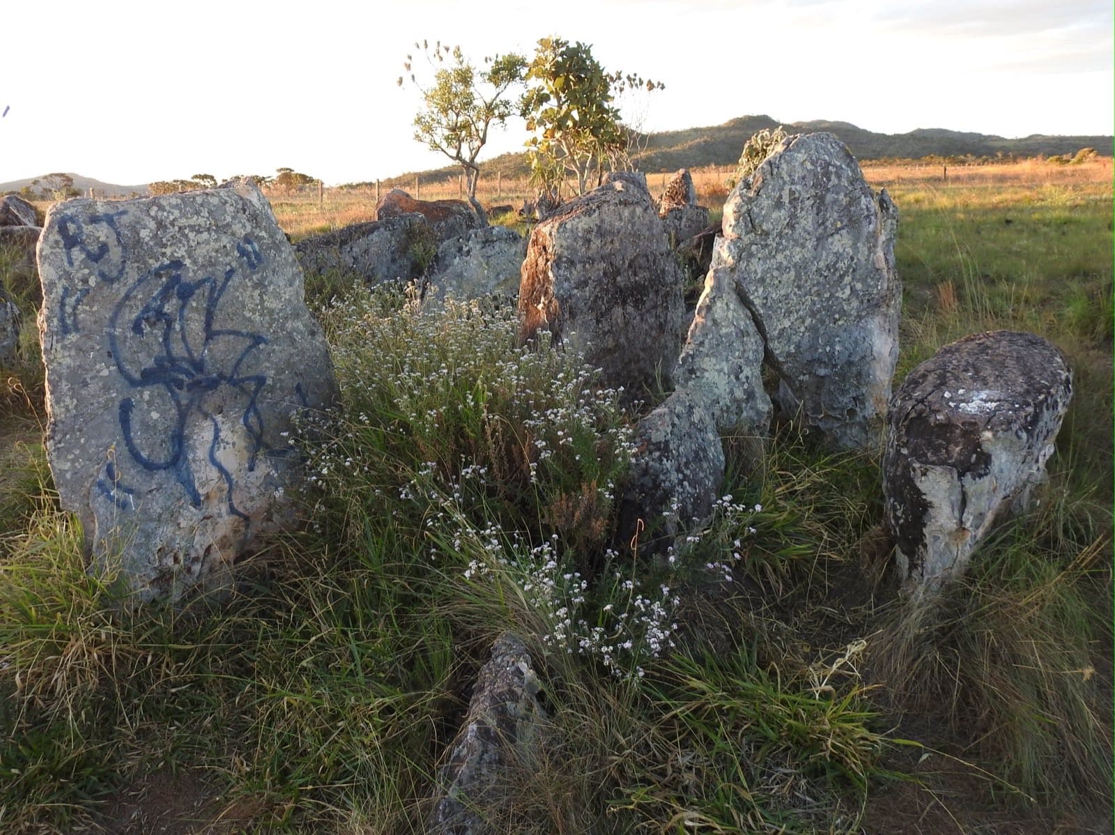 Marco do Paralelo 14, Chapada dos Veadeiros